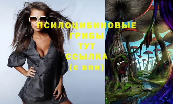 apvp Бронницы