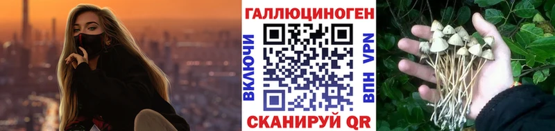 Галлюциногенные грибы ЛСД Таганрог