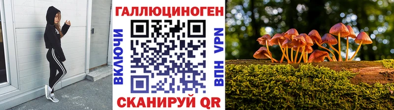 МЕГА   как найти наркотики  Таганрог  Псилоцибиновые грибы MAGIC MUSHROOMS 